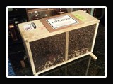 X027.  The arrival of bees, a 3 pound box with a marked queen.  Russian variety.
